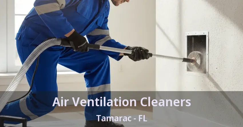 Air Ventilation Cleaners Tamarac - FL
