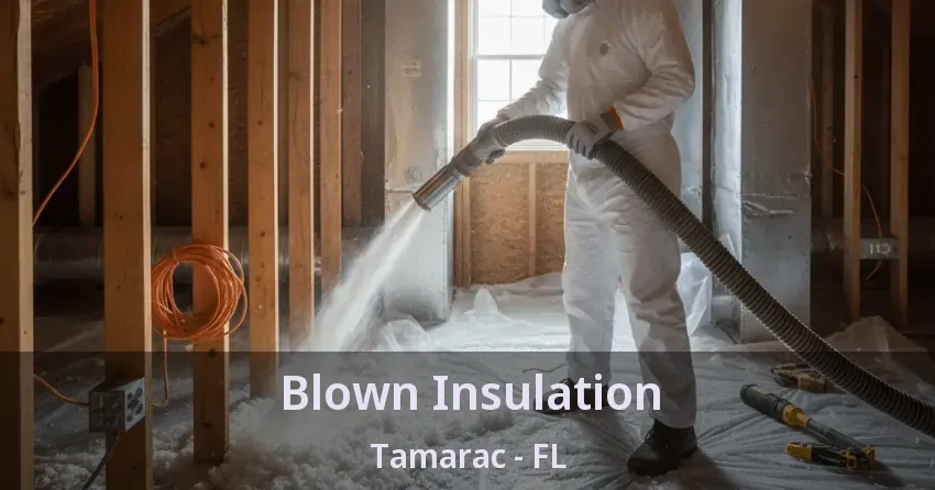 Blown Insulation Tamarac - FL Blown Insulation Tamarac - FL