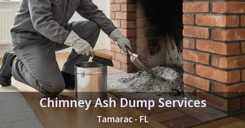 Chimney Ash Dump Services Tamarac - FL
