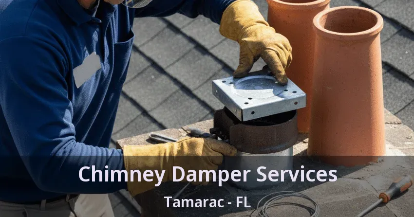 Chimney Damper Services Tamarac - FL