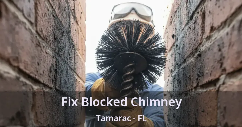 Fix Blocked Chimney Tamarac - FL
