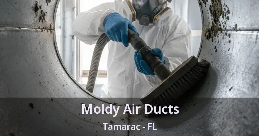 Moldy Air Ducts Tamarac - FL